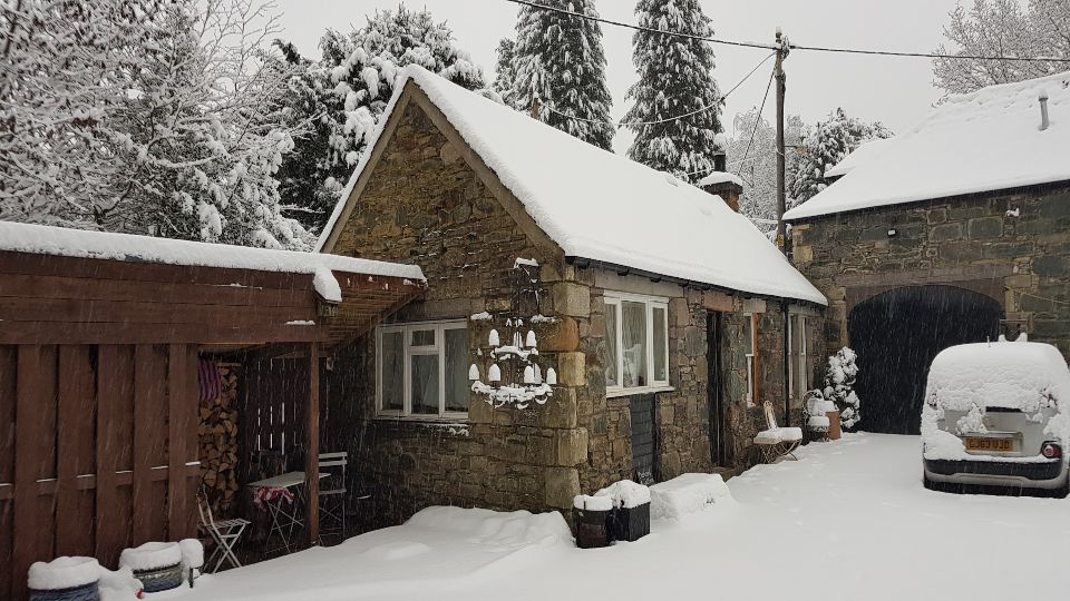 Slideshow 2 - Slide 2